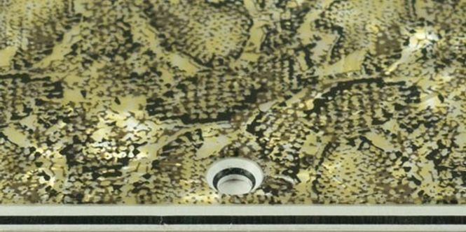 Hovedbilde Les Paul Deluxe - Snakeskin